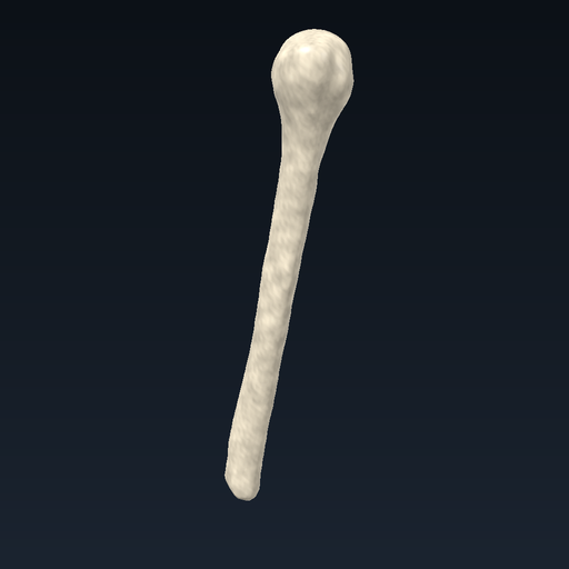 Humerus (sağ)