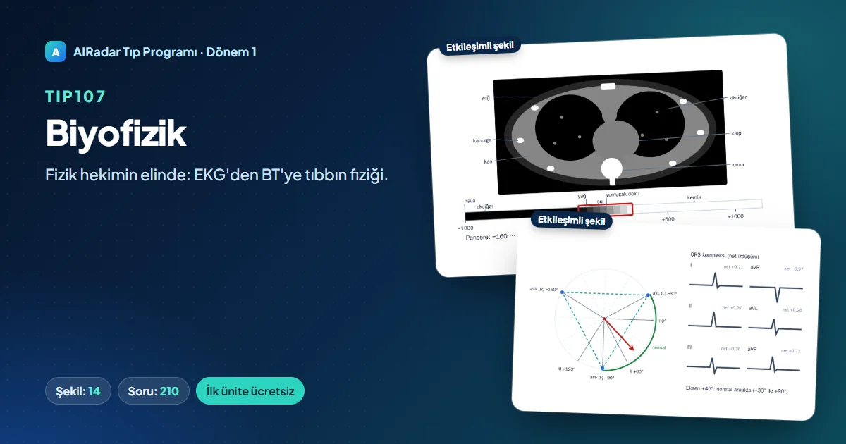 TIP107 Biophysics