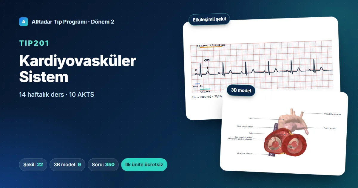 TIP201 Cardiovascular System